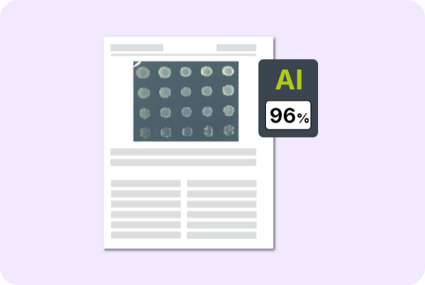 AI 图像检测场景示意